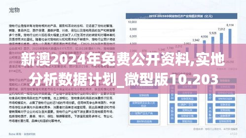 新澳2025全年今晚中奖资料,全面释义、专家解析解释与落实与警惕虚假宣传 解析与释义